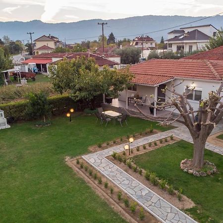 Castellano Vasiliki Villa Vasiliki  Kültér fotó