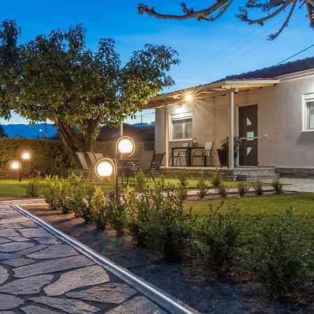 Castellano Vasiliki Villa Vasiliki  Kültér fotó